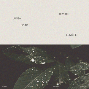 欧美激情无码❌❌❌喷水丝
